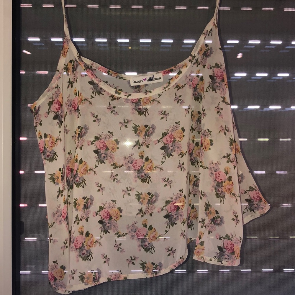 Dainty hooligan sheer cropped tank